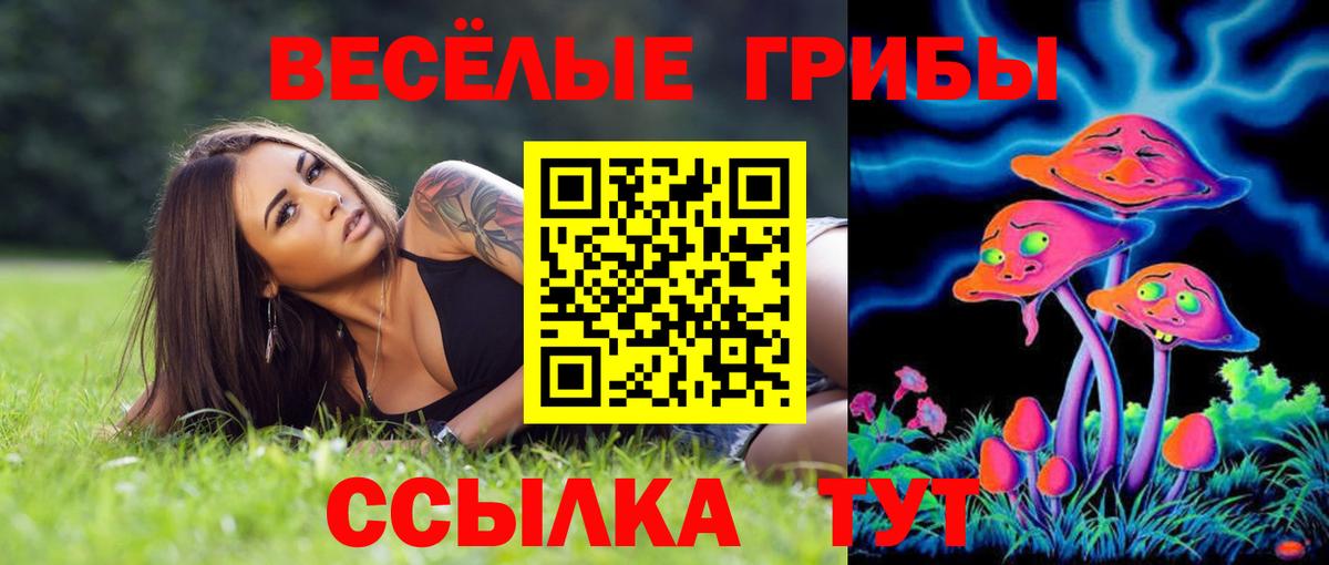 Псилоцибиновые грибы Psilocybine cubensis  как найти закладки  Тара  Вход с VPN 